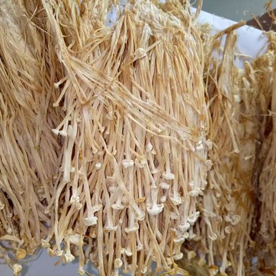 金針菇干貨 食用菌農產品無硫 酒店食材及工廠提煉 批發(fā)聚劃算