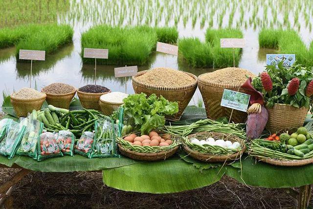 科普/食用農(nóng)產(chǎn)品合格證是什么?