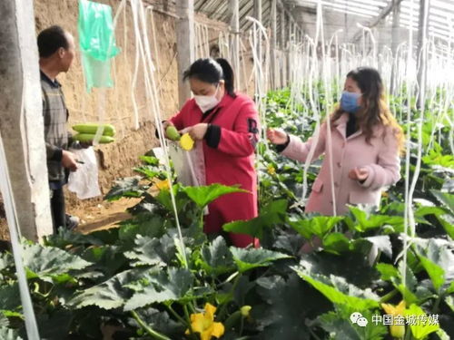 2020年一季度重點(diǎn)工作觀摩點(diǎn)評亮點(diǎn)單位 農(nóng)業(yè)農(nóng)村局
