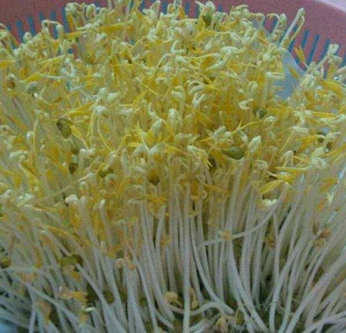 注意 海南這11批次芹菜 豆芽 海白螺等食用農產品檢出農獸藥殘留問題